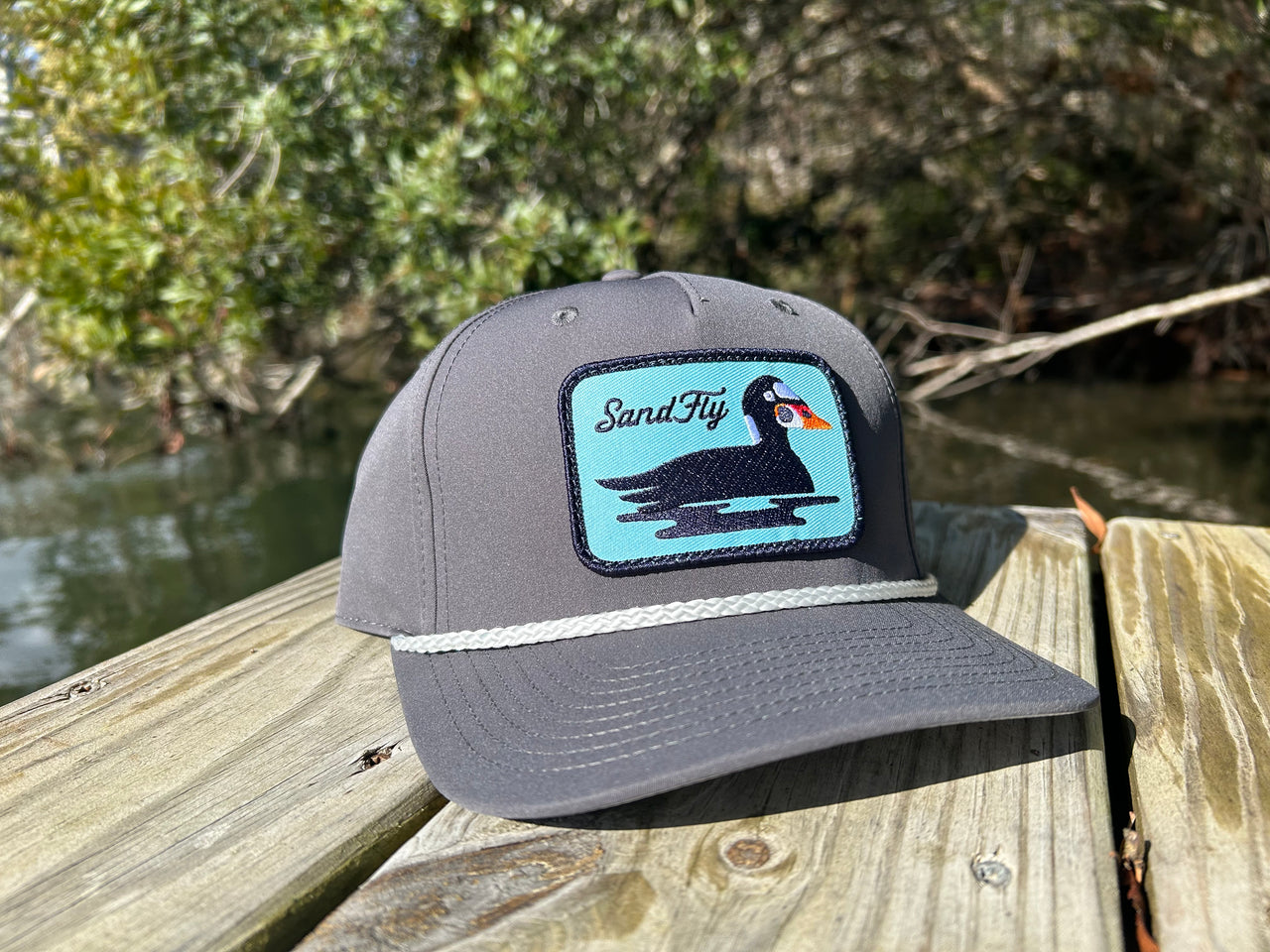 Surf Scoter On A Rope